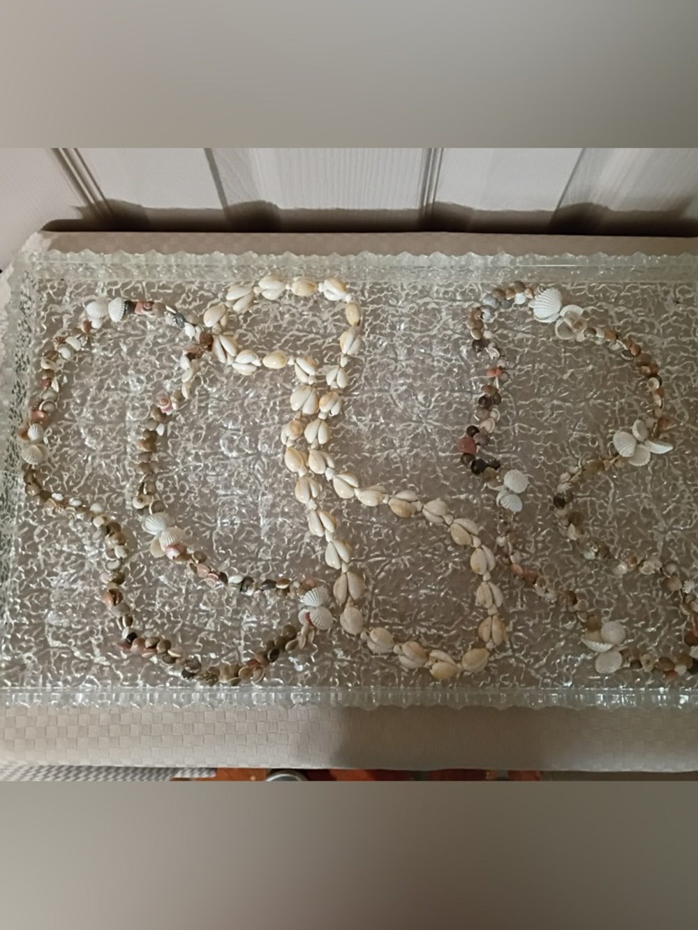 Lot of vintage 3 Hawaiian necklaces. 1 cowrie/mini conch & 2 scallop/moon snail